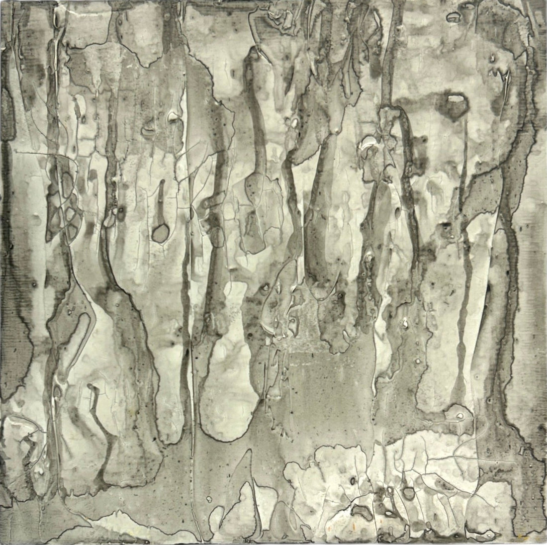 Winter Bark - Rita Dungey  